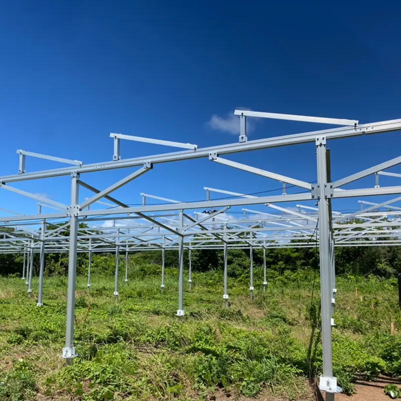 Napelemes farmok: a zöld energia jövőbeli sztárjai